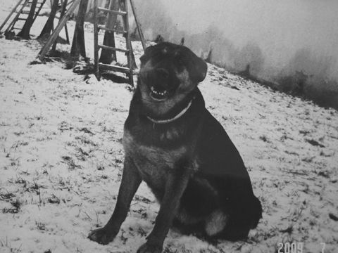 Foto 17